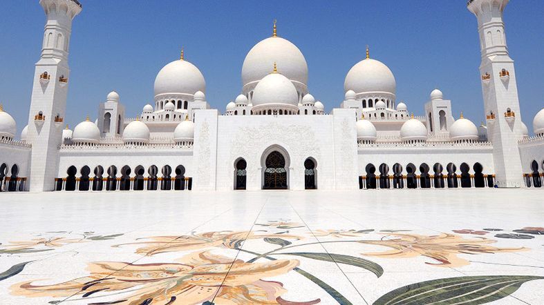 Planes Abu Dhabi Planes Abu Dhabi - See Dubai Tours