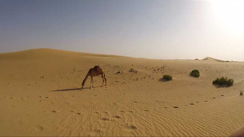 Al-Khatim-Desierto Desierto Al Khatim -See Dubai Tours