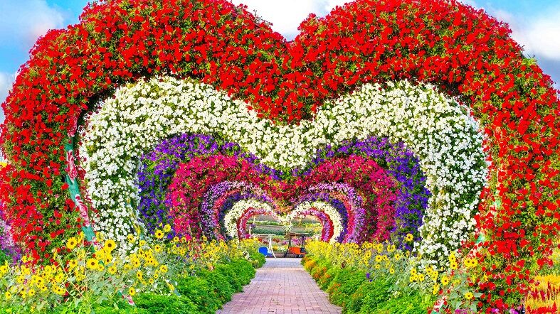 Ticket Miracle Garden - 1 Ticket Miracle Garden
