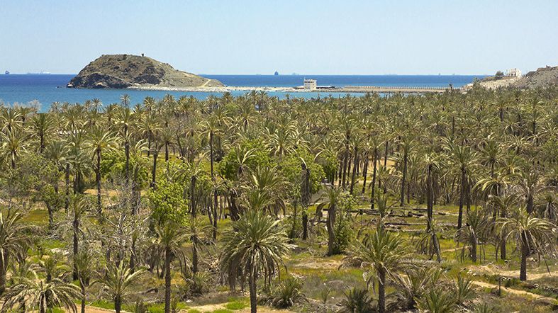 See Dubai Tours - Visita Fujairah Paquete Emiratos Arabes - See Dubai Tours