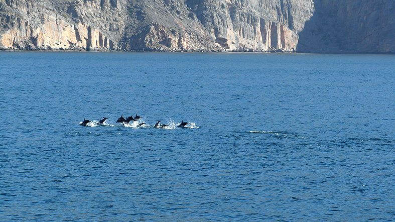 Musandam Paquete Emiratos Arabes y Musandam estandar