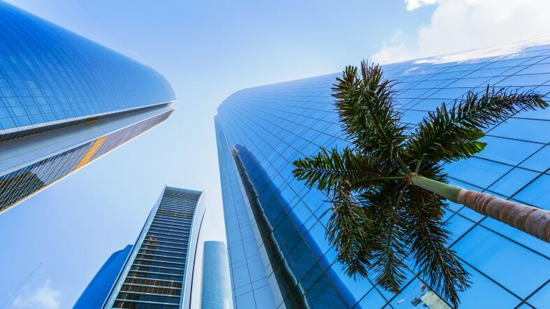 Centro Abu Dhabi - See Dubai Tours Paquete Dubai Esencial Turista - Abu Dhabi