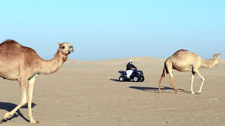 Desierto-en-Dubai-See-Dubai-Tours Desierto en Dubai